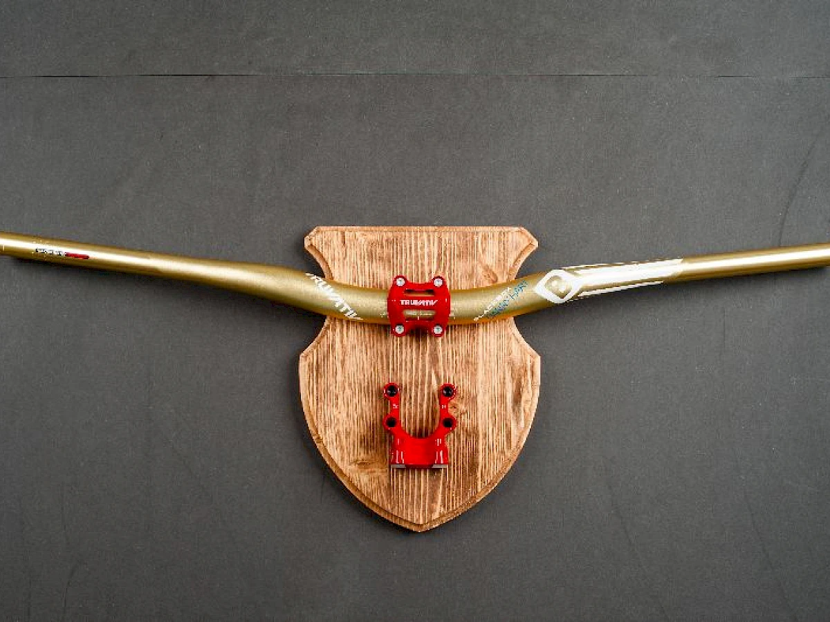 Hirschgeweih - xmx1737.jpg