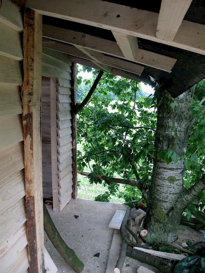 Baumhaus - baumhaus_03.jpg